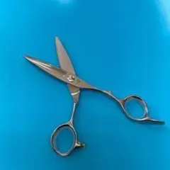 2026年最新】スライドカット シザーの人気アイテム - メルカリ