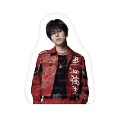 2026年最新】長谷川慎 クッションの人気アイテム - メルカリ