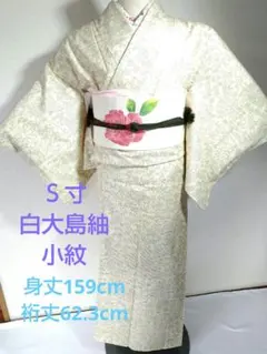 2026年最新】白大島 大島紬の人気アイテム - メルカリ HX-157 本場