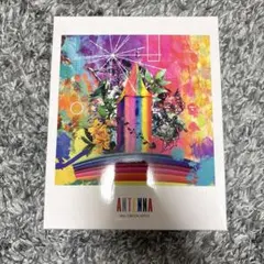 2026年最新】mrs.green Apple antenna 完全生産限定boxの人気アイテム