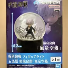 2026年最新】Light五条悟の人気アイテム - メルカリ