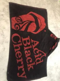 2026年最新】acid black cherry タオルの人気アイテム - メルカリ