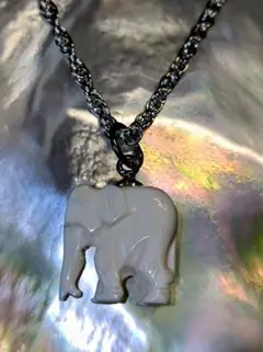 2026年最新】ラクダの骨の人気アイテム - メルカリ