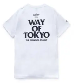 m35064342489_1.jpg?1756541781