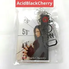 2026年最新】acid black cherry yasuの人気アイテム - メルカリ
