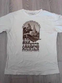 2026年最新】ビッグサンダーマウンテン tシャツの人気アイテム - メルカリ