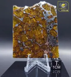 2026年最新】イミラックパラサイトの人気アイテム - メルカリ