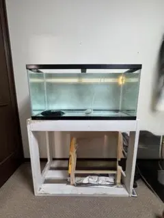 2026年最新】水槽 90 台の人気アイテム - メルカリ