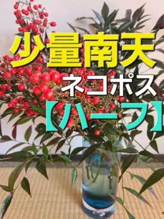 2026年最新】南天 の葉の人気アイテム - メルカリ