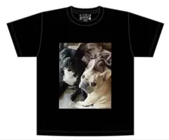 2026年最新】草彅剛はっぴょう会の人気アイテム - メルカリ