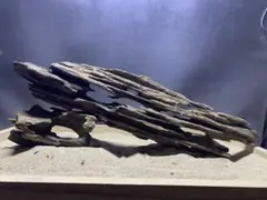 2026年最新】マシンガンウッドの人気アイテム - メルカリ