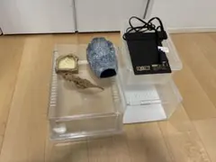 2026年最新】爬虫類飼育セットの人気アイテム - メルカリ