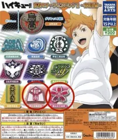 2026年最新】ハイキュー 全巻 ピンズの人気アイテム - メルカリ