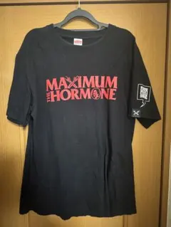 2026年最新】マキシマムザホルモン xlの人気アイテム - メルカリ
