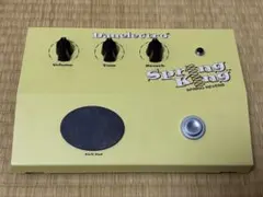 2026年最新】DANELECTRO springの人気アイテム - メルカリ
