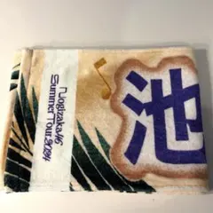 2026年最新】池田瑛紗 タオルの人気アイテム - メルカリ