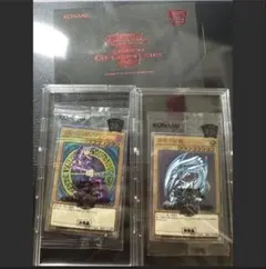 2026年最新】青眼の白龍 wcs2018の人気アイテム - メルカリ