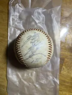 2026年最新】津田恒美 サインの人気アイテム - メルカリ