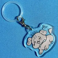 2026年最新】欅坂46 クッションの人気アイテム - メルカリ