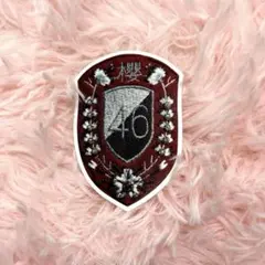 2026年最新】櫻坂46 新せ界 エンブレムの人気アイテム - メルカリ