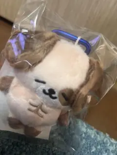 2026年最新】ドンへ ぬいぐるみの人気アイテム - メルカリ