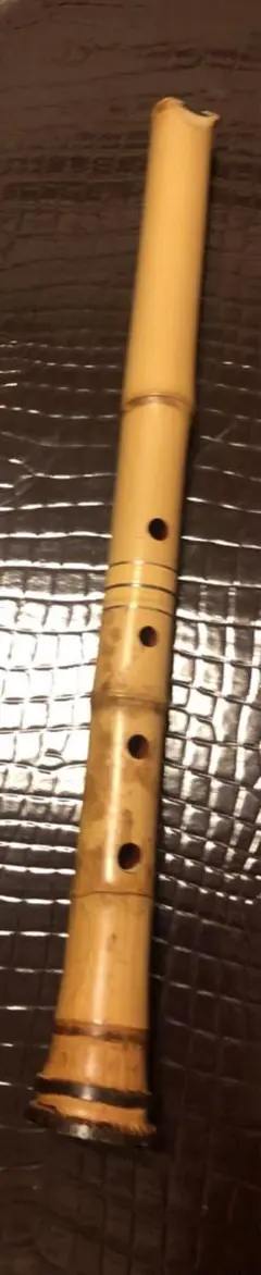 2026年最新】真山 尺八の人気アイテム - メルカリ