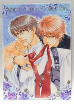 2026年最新】やまねあやの カードの人気アイテム - メルカリ