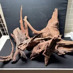 2026年最新】ホーンウッド adaの人気アイテム - メルカリ