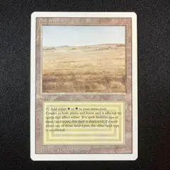 2026年最新】デュアルランドの人気アイテム - メルカリ