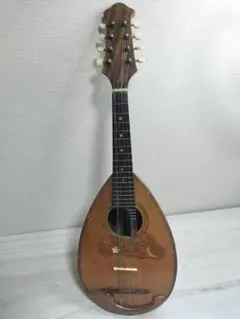 2026年最新】suzuki マンドリンの人気アイテム - メルカリ