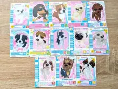 2026年最新】ワンタメ カードの人気アイテム - メルカリ