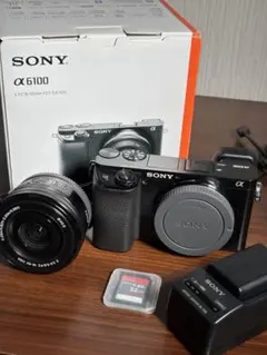 2026年最新】α6400 バッテリー 純正の人気アイテム - メルカリ