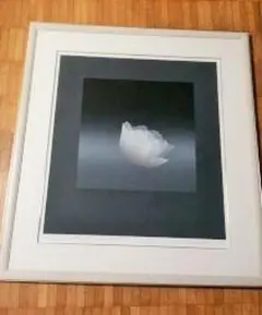 2026年最新】井上公三の人気アイテム - メルカリ