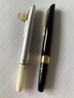 2026年最新】PLATINUM 万年筆 14Kの人気アイテム - メルカリ