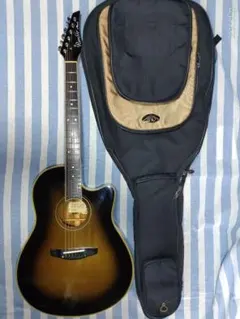 2026年最新】rumbler モーリス ギターの人気アイテム - メルカリ