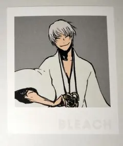 2026年最新】市丸ギン ポートレートの人気アイテム - メルカリ