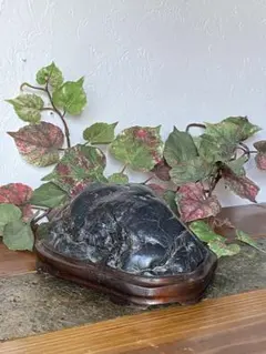 2026年最新】鑑賞石 台座付の人気アイテム - メルカリ