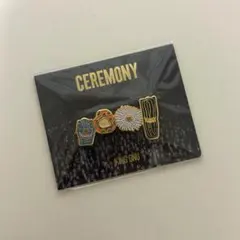 2026年最新】King gnu ピンバッジ ceremonyの人気アイテム - メルカリ