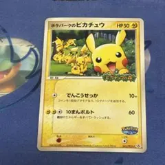 2026年最新】ポケモンカード ポケパークのピカチュウ 043/pcg-pの人気