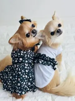 2026年最新】キャンディブッピーの人気アイテム - メルカリ