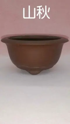 2026年最新】松泉焼 山秋造の人気アイテム - メルカリ