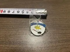 2026年最新】ドミノピザバッチの人気アイテム - メルカリ