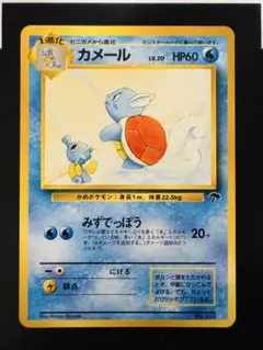 2026年最新】カメール サザンアイランドの人気アイテム - メルカリ