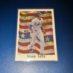 2026年最新】ファン・ソトの人気アイテム - メルカリ