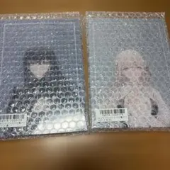 トワツガイ メモリアルファンブック付属アクリルボード 運命のツガイ