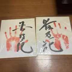 2026年最新】貴乃花 サイン色紙の人気アイテム - メルカリ