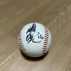 2026年最新】津田恒実 サインの人気アイテム - メルカリ