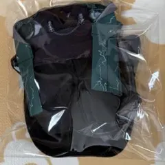 うたプリ 嶺二 ぬいスター コスチューム タブナイ エンパイア - メルカリ