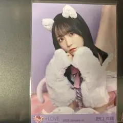 2026年最新】野口衣織 生写真 猫の人気アイテム - メルカリ