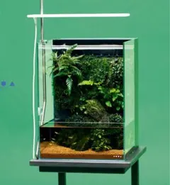 2026年最新】DOOAの人気アイテム - メルカリ